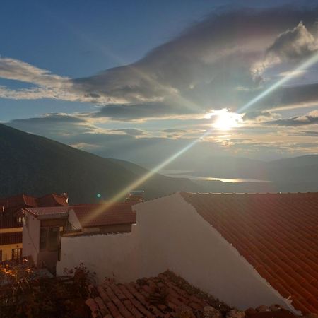 Tholos Hotel Delphi Buitenkant foto